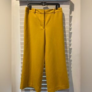 Ann Taylor Factory pants!!